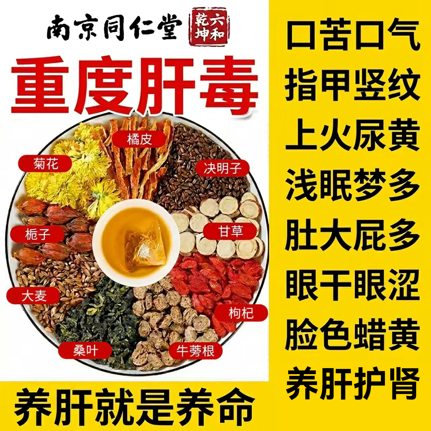 南京同仁堂菊花决明子养肝明目茶