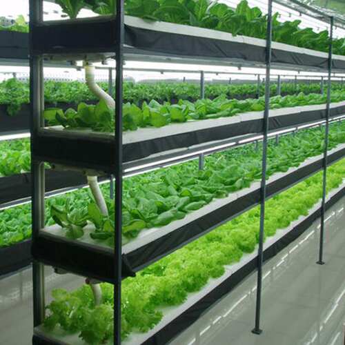 室内种植灯价格 室内种植灯图片 星期三