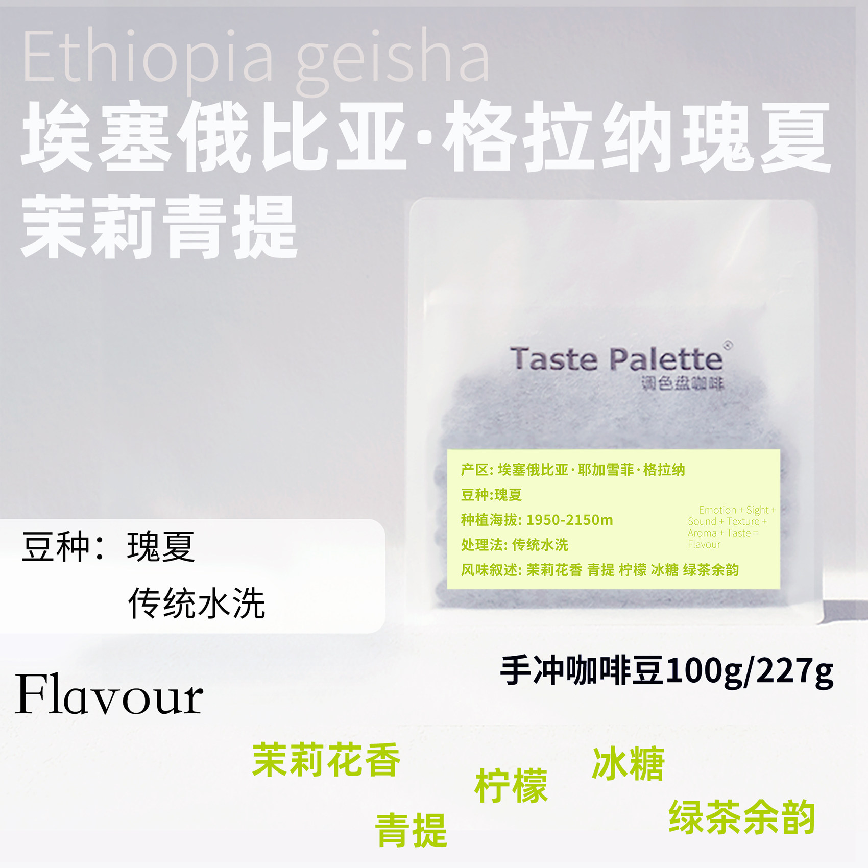 调色盘格拉纳瑰夏青提茉莉精品手冲咖啡豆咖啡豆美式咖啡粉现磨