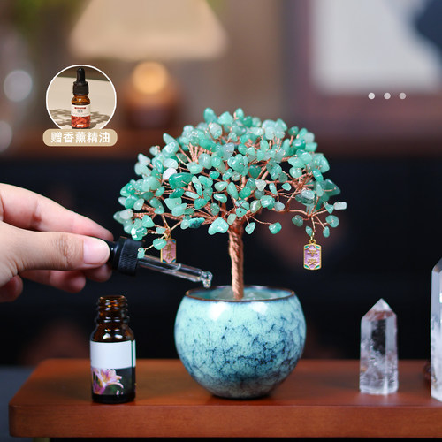 绿东陵健康发财树好运生命有活力