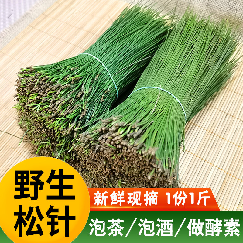 食用野生新鲜松针中药材马尾松松叶酵素枕头芯养生茶蒸包子蒸笼垫