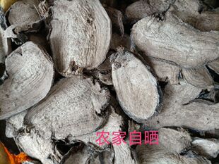新鲜入地老鼠晒干白古首花头紫茉莉花根中材钻地老鼠片500克