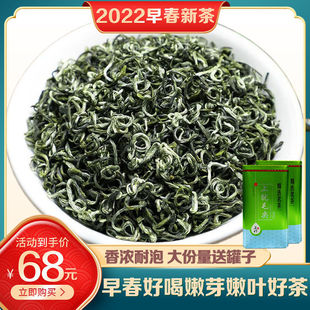2025茶春茶江西上犹特产绿茶高山日照足嫩芽毛尖茶叶散装250g