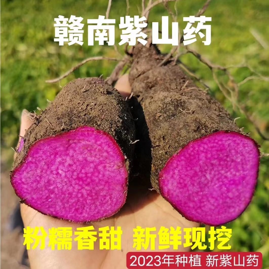 现挖新鲜紫山药脚板薯紫玉淮山大薯毛薯江西赣南特产5斤食材