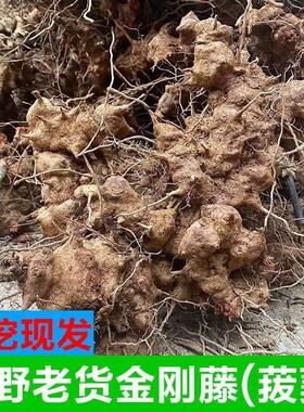 江西野生现挖菝葜根金刚藤刺