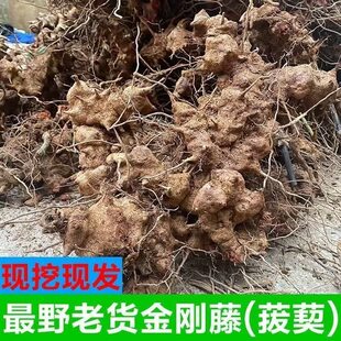 江西新鲜现挖菝葜根金刚藤刺干铁菱角马甲头马加勒山归来野生