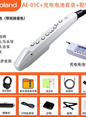 正品Roand罗l兰电吹管乐AE01娱乐初学ae器05c/01电子萨克斯葫芦丝