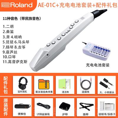 正品Roand罗l兰电吹管乐AE01娱乐初学ae器05c/01电子萨克斯葫芦丝