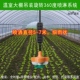 大棚倒挂菜地浇水自动洒水器温室微喷雾360度旋转喷头打药机系统