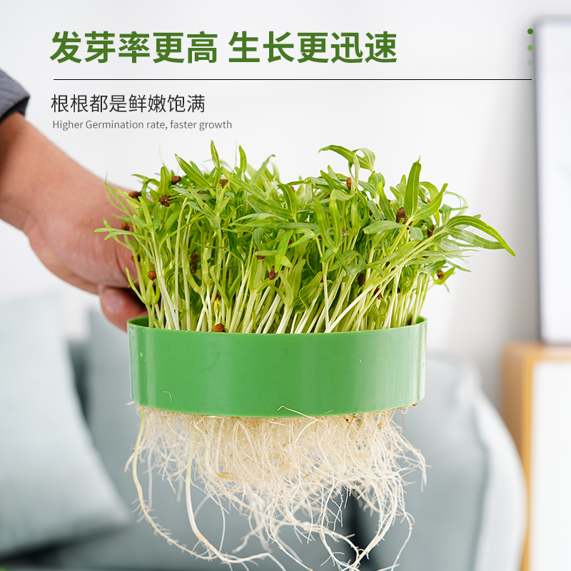 直销豆芽罐生绿豆芽机泡发桶芽苗菜大容量全自动家用自制豆芽发芽