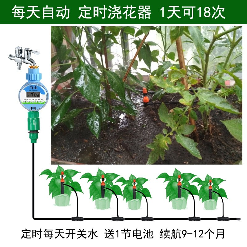 园林浇花工具自动浇花神器渗水器智能定时器浇水喷雾地插喷头套装