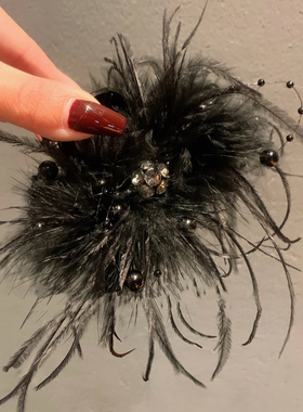 高级感轻奢法式黑色羽毛抓夹女2024秋冬新款后脑勺显发量鲨鱼夹子