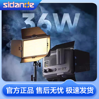 斯丹德36W双色温补光灯