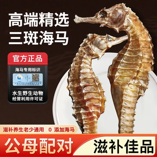 三斑海马中药饮片泡酒海马中药材一公一母干货一对官方旗舰店正品