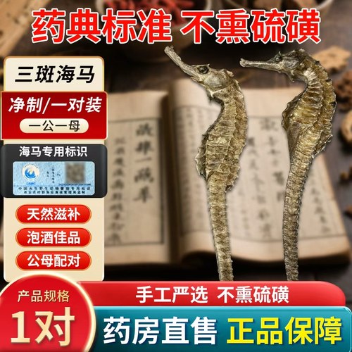 大海马中药材泡酒中药饮片