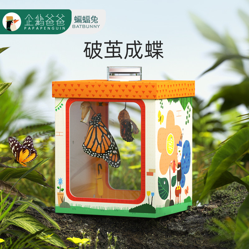 蝙蝠兔活体蝴蝶蛹孵化饲养儿童学生科普观察破蛹茧成蝶礼物宠物高性价比高么？