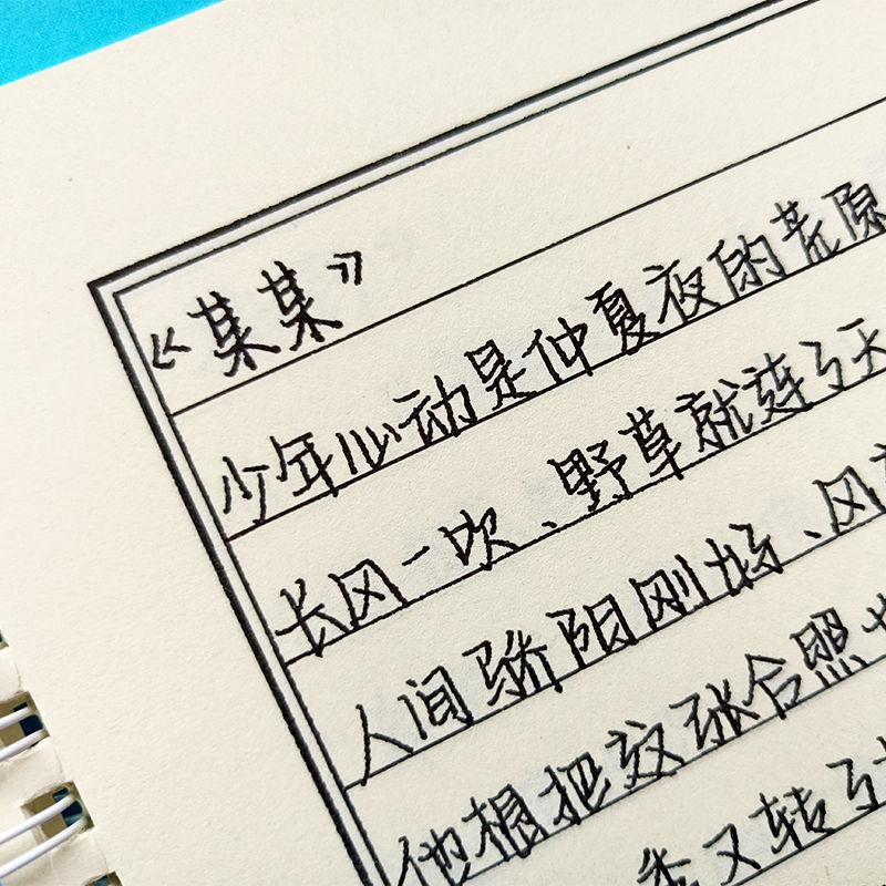 沄潮体昭颜奶酪体字帖女生小清新手写练字帖本正楷书成人行楷速成