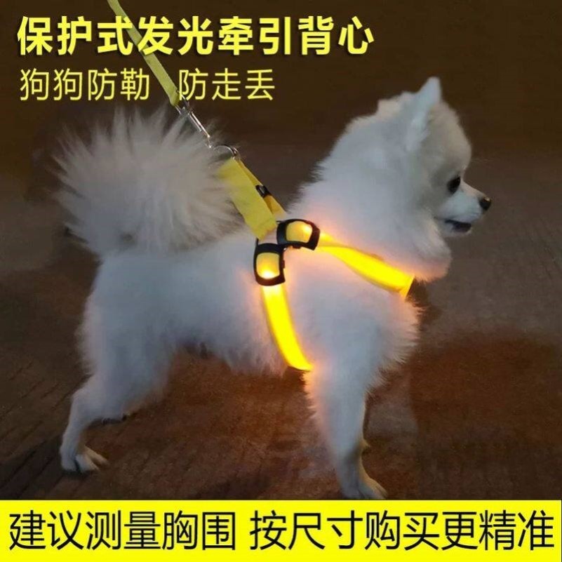 狗狗项圈牵引绳背心LED发光胸背泰迪链子四季夜光狗绳小型USB充电