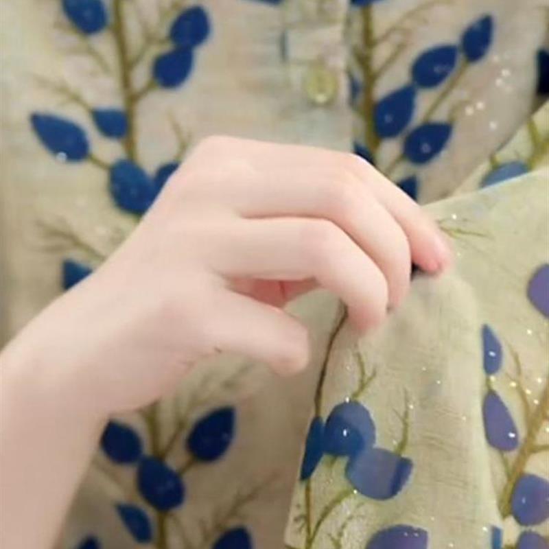 雪纺2025新款打底春秋季衬衫上衣女装衬衣秋冬小衫轻奢欧货外贸