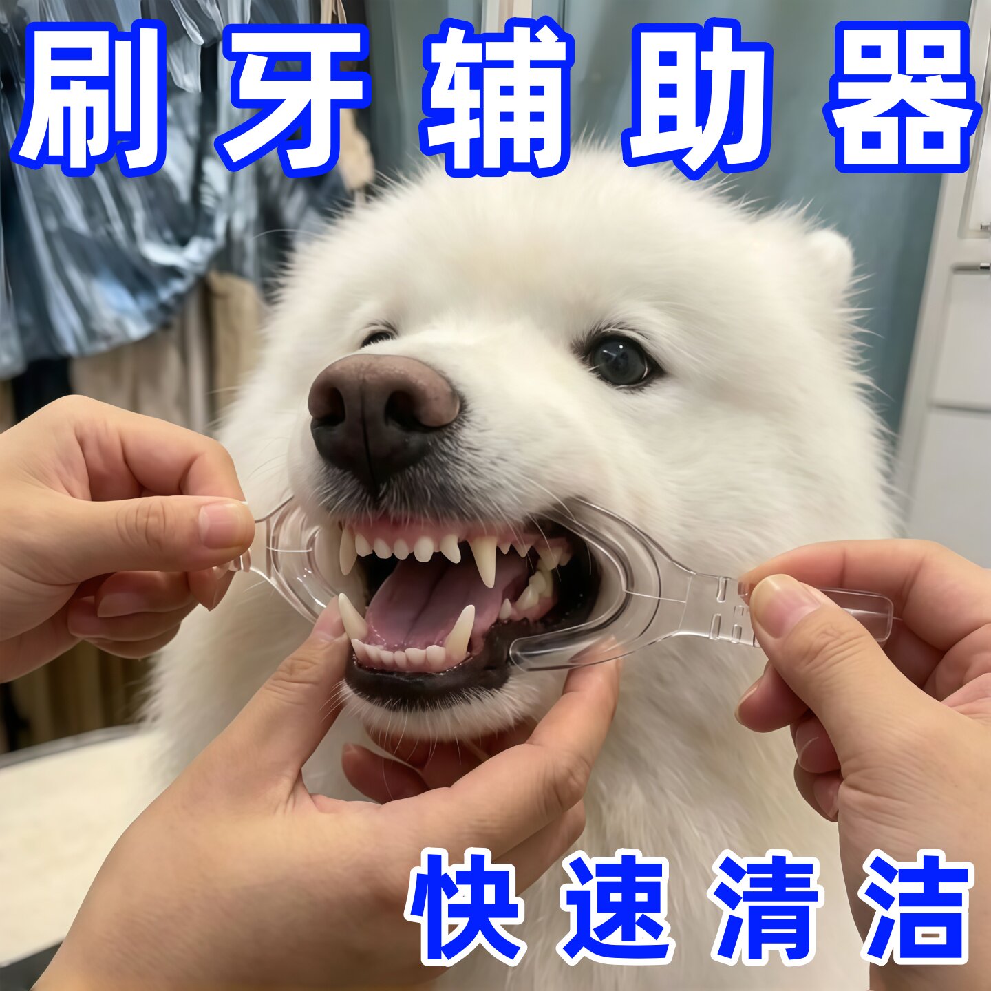 狗狗刷牙辅助神器橡胶洁齿玩具自嗨解闷神器磨牙棒口腔清洁除牙垢