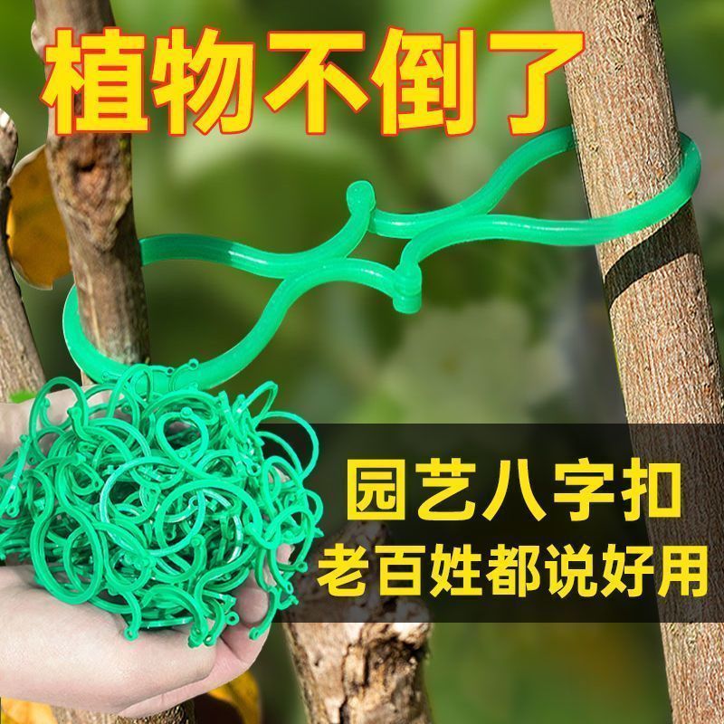 新款黄瓜西红柿豆角爬藤绑枝8字夹绿植蔬菜捆藤蔓专用固定夹园林