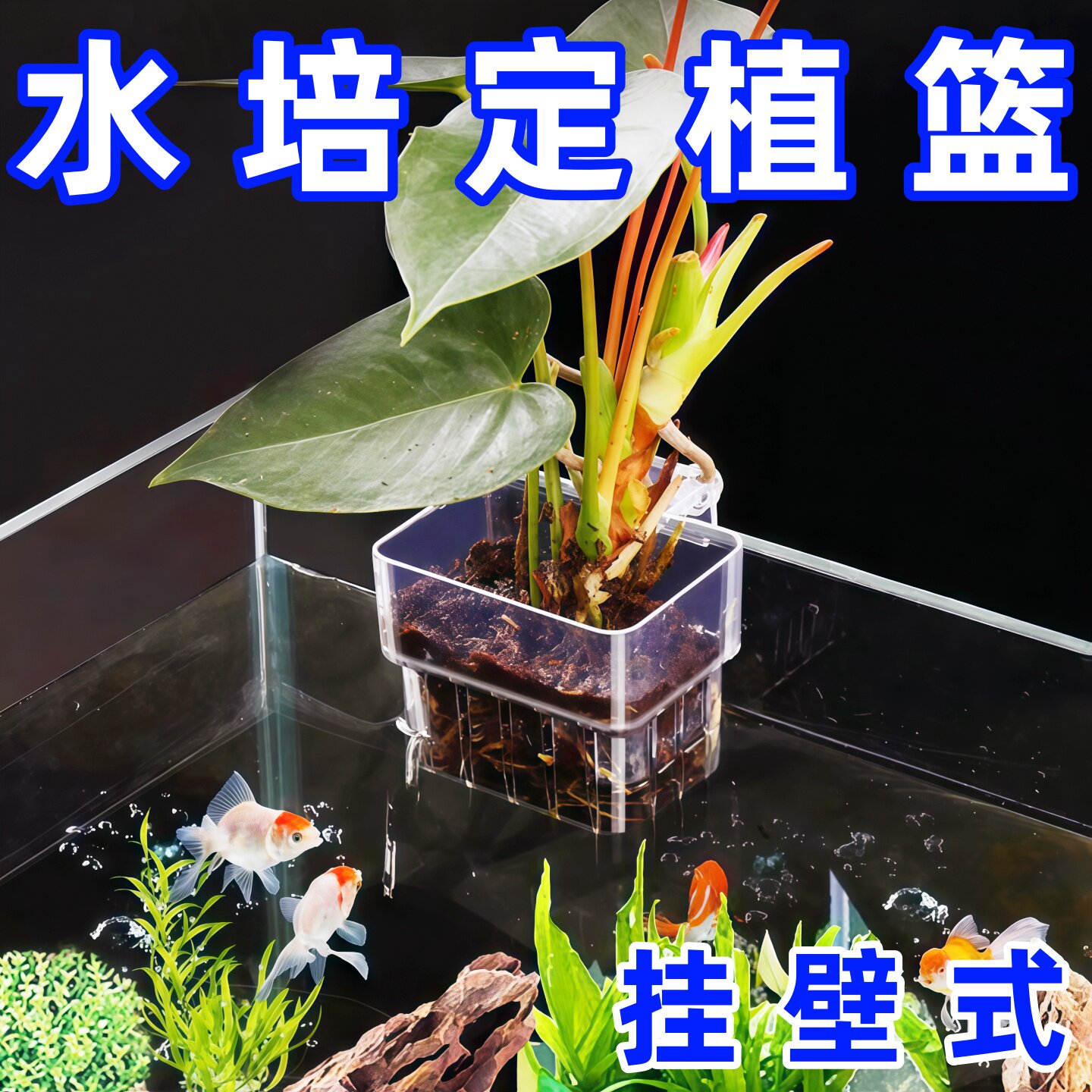 鱼缸水培篮定植篮植物壁挂加厚家用固定定植篮鱼缸壁挂式水培蓝