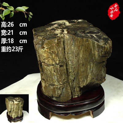 天然树化玉原石木化石观赏石客厅玄关装饰品原石摆件开业乔迁礼品