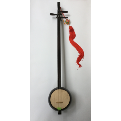 Guangxi Longzhou Mu Sanxian Zhuang Tianqin Plucked National Instrument Children and Adult Students Performance Teaching and Examination