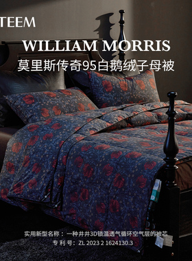 【罗娜推荐】ESTEEM/宜庭莫里斯传奇匈牙利95白进口可水洗子母被