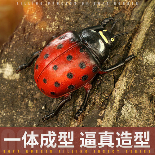 的昆虫模型
