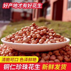 贵州特产珍珠花生铜仁小颗粒花生米农家种植新鲜去壳生花生下酒菜