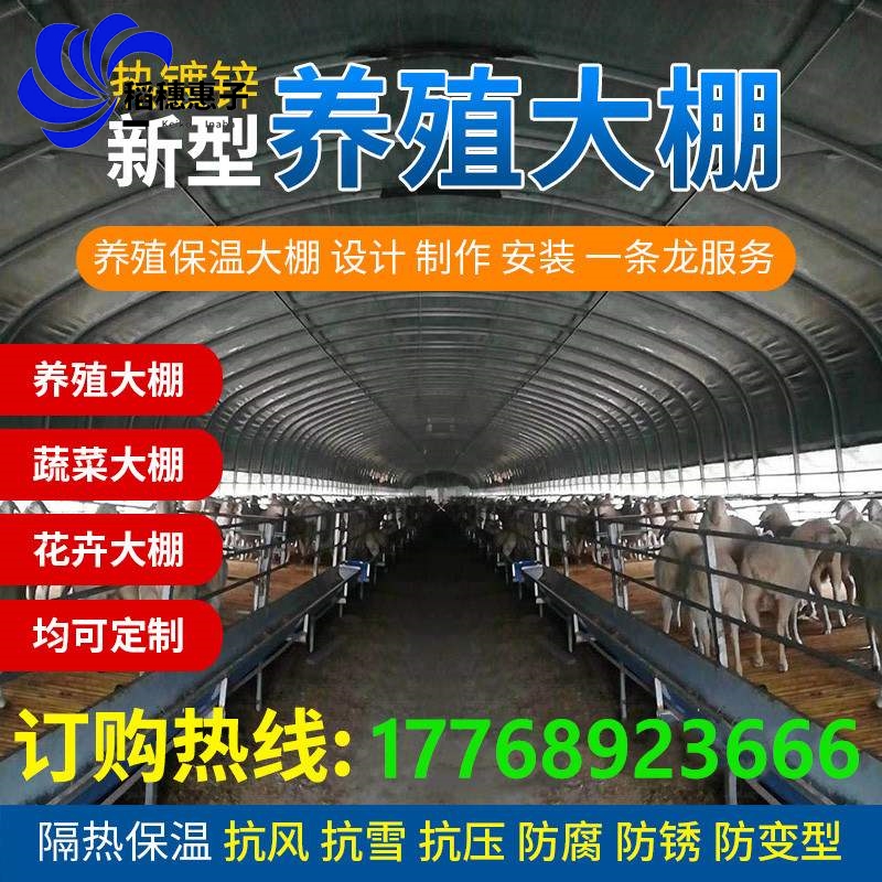 养殖大棚钢管骨架养鸡鸭养a猪牛f羊舍温室户外大棚
