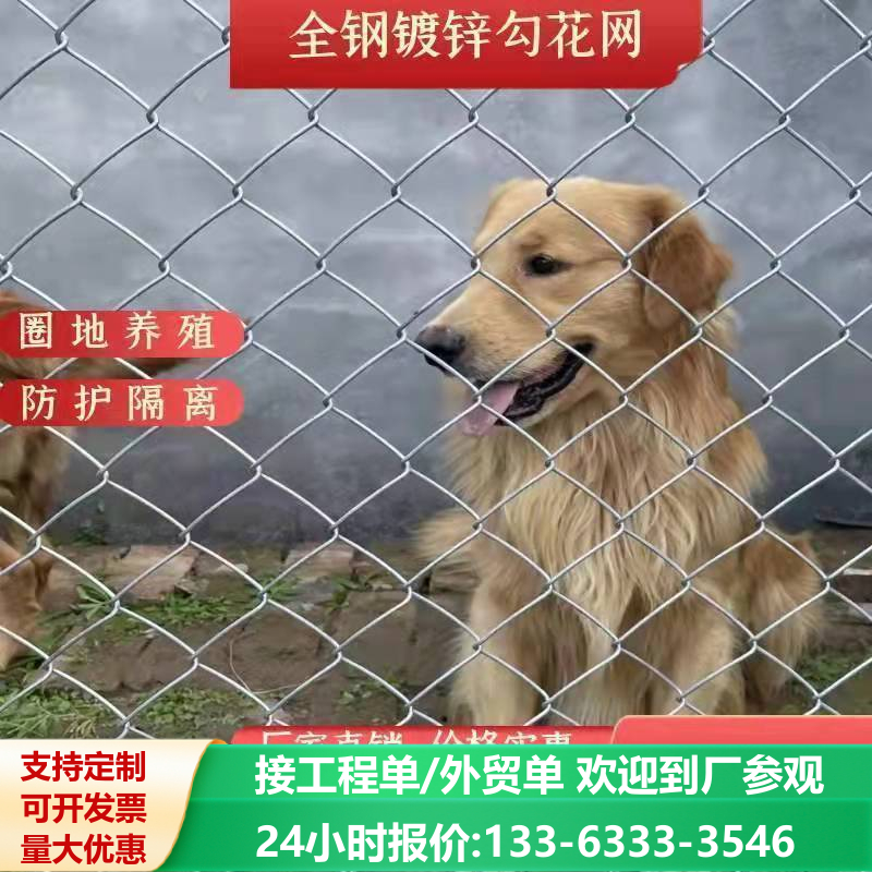 钢丝网铁丝网果园勾花网