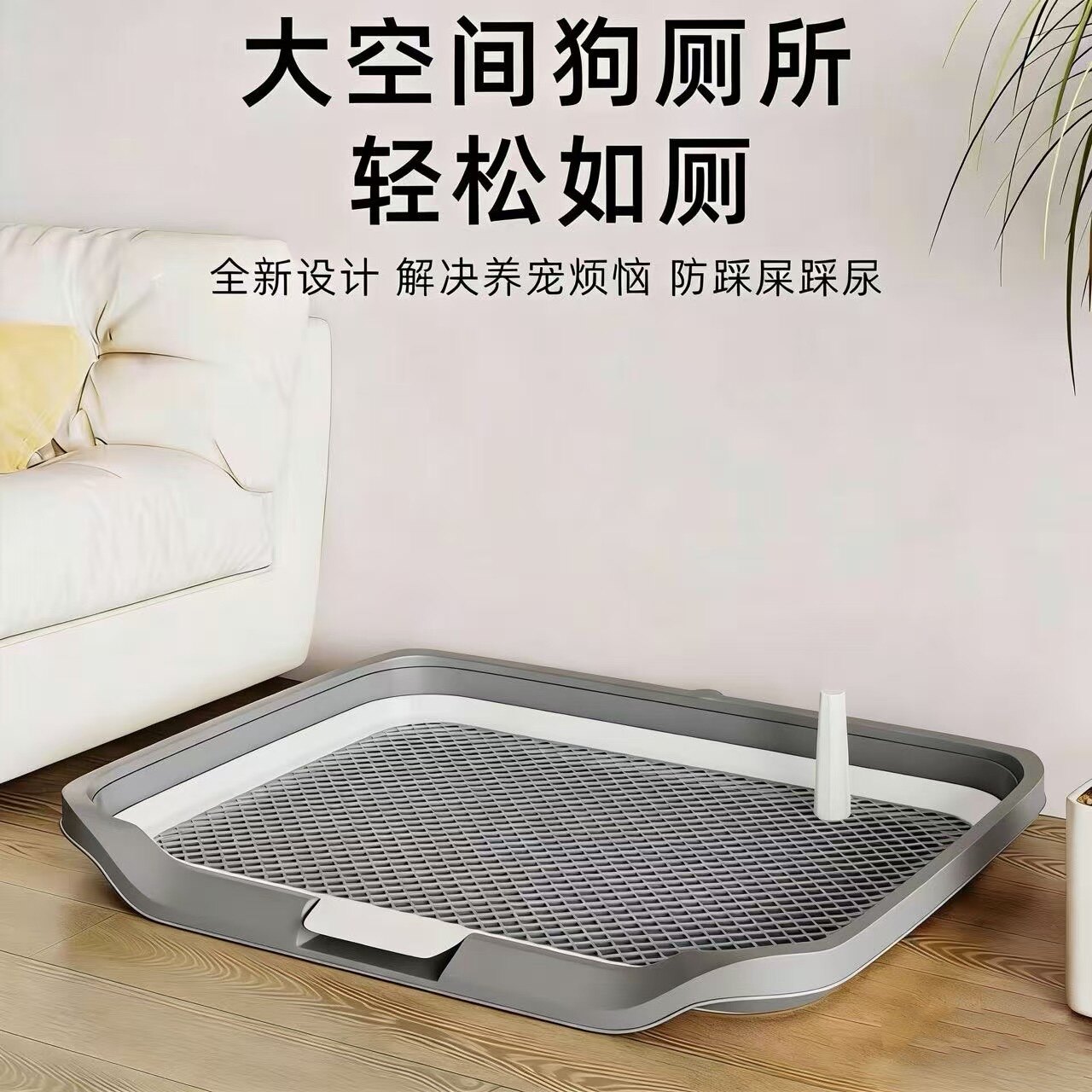 定点训练|清洁方便|超大空间