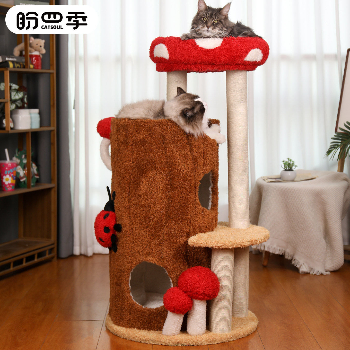 猫爬架猫窝猫抓板玩睡一体家用小户型多层实木大猫咪树洞宠物跳台,宠物/宠物食品及用品,猫爬架,淘宝优惠券,粉丝福利购,淘宝优惠卷