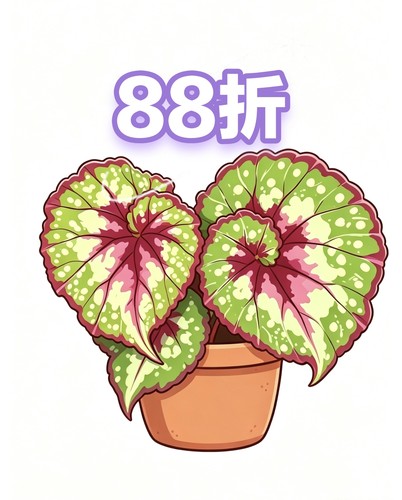 2号福利链接 王先森的花园