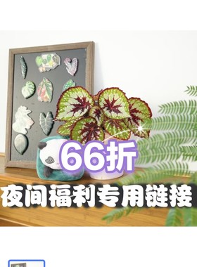 夜间福利链接 王先森的花园
