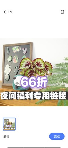 夜间福利链接 王先森的花园