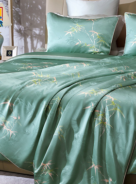 皇锦真丝桑波缎印花单人四季一体蚕丝被-竹韵HJ11727