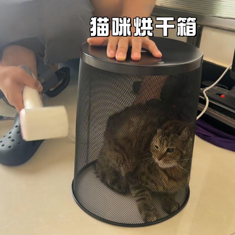 猫咪烘干箱宠物狗狗洗澡专用吹干神器小型犬吹风机吹水烘干垃圾桶