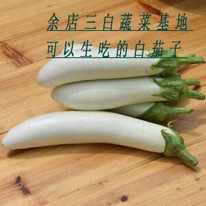 广水特产余店白茄子3-5斤包邮皮薄肉嫩新鲜(3天采摘一次）