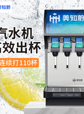 可乐机汽水碳酸饮料三阀苏打水果汁一体糖浆气瓶现调汉堡小型商用
