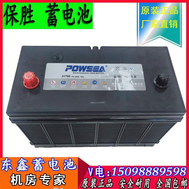 保胜蓄电池3175012v100ah农用车货车叉车汽车客车启动电瓶.