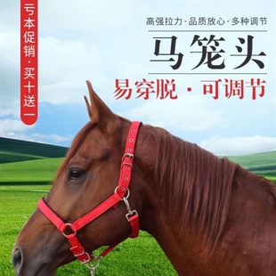 马具马术龙套驴牵引马笼头合金配件调教马龙头套拴马装备头套配件