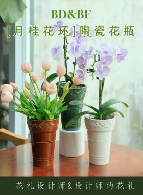 BDBF高级轻奢家居景德镇陶瓷花瓶