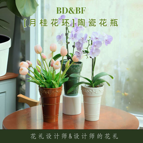 BDBF高级轻奢家居景德镇陶瓷花瓶