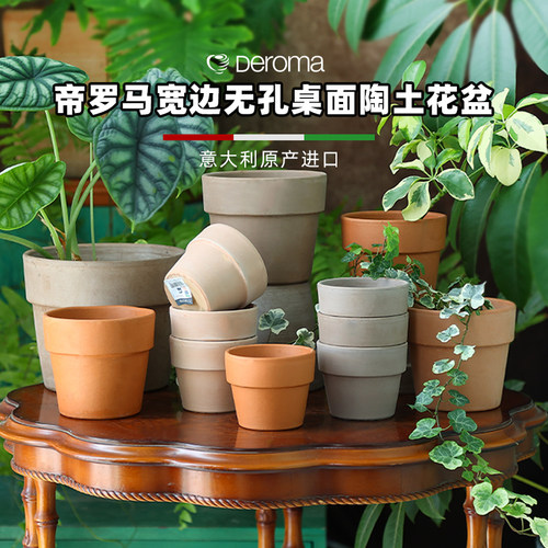 bdbf官方店帝罗马经典国际盆宽边桌面室内外兰花绿植天然陶土花盆