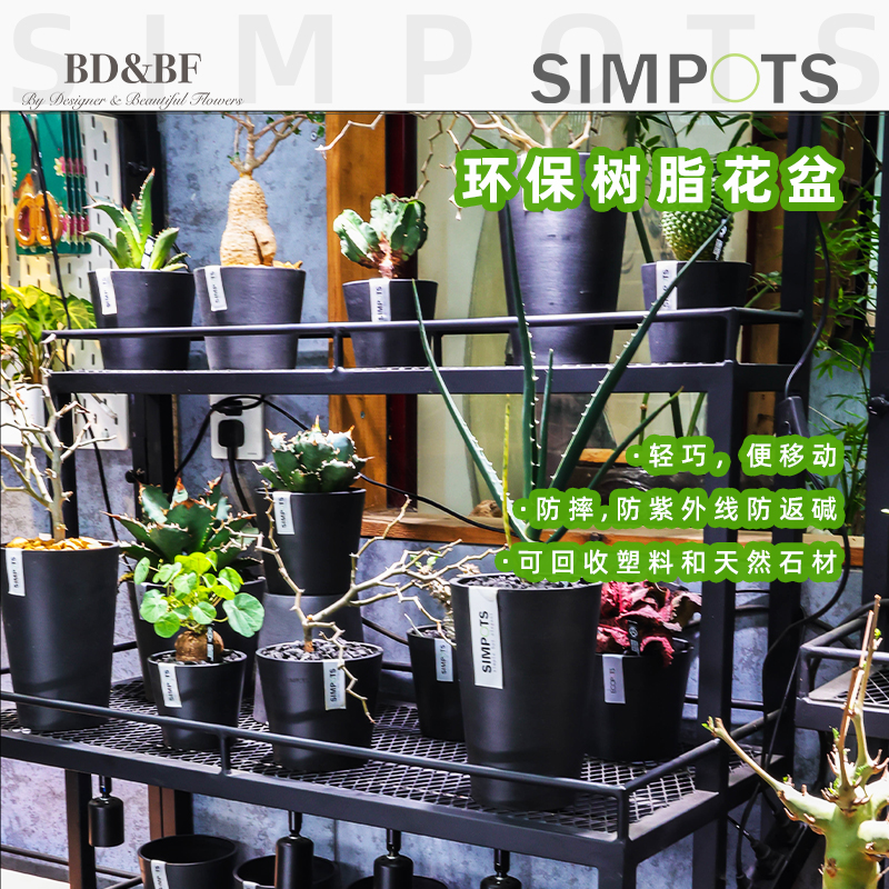 bdbf官方店SIMPOTS树脂绿植盆栽北欧简约兰花多肉小口径碗形花盆