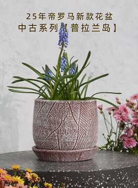 25年帝罗马新款中古风【普拉兰岛】陶瓷圆形带托盘植物盆陶土花盆