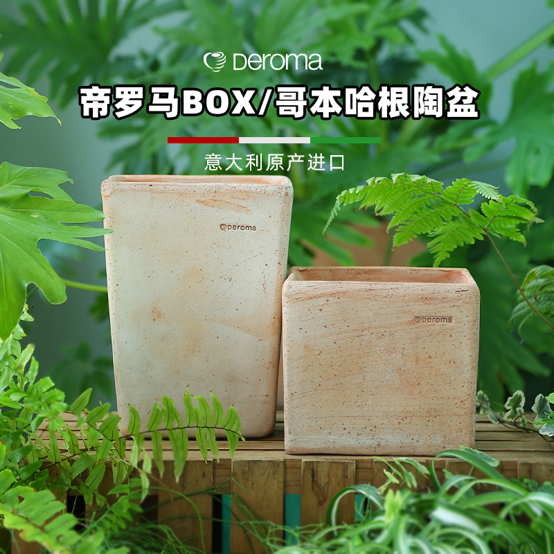 帝罗马Deroma定制款BOX哥本哈根系列植物盆栽手工白陶陶土花盆